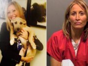 Animal rights lawyer gets 10 years jail in murder for hire against husbands au pair girlfriend Animal rights lawyer murder for hire sentenced