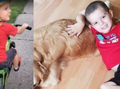 Derek Thebo murder suicide
