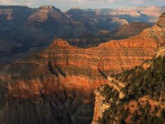Grand Canyon suicide