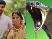 Sooraj Kumar snake