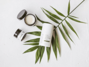 Ultimate CBD product guide