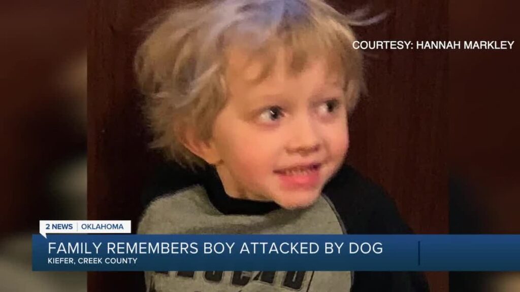 James Mcneelis 7 year old Oklahoma boy mauled to death by family dog