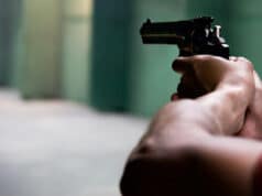 gun control accuracy