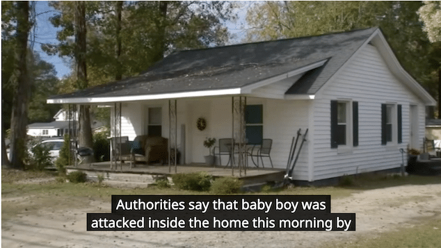 8-day-old boy killed by pit bull in North Carolina