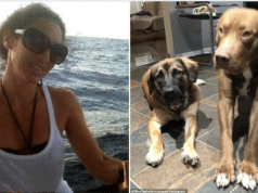 Tiffany Frangione Houston woman mauled to death dogs