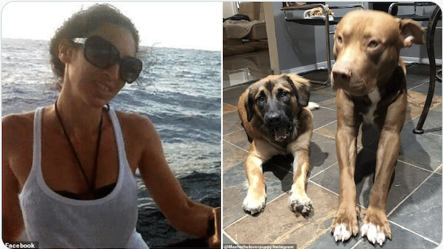 Tiffany Frangione Houston woman mauled to death dogs