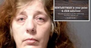 Wendy Lynn Wein Michigan woman pleads guilty using fake rent a hitman website to kill ex