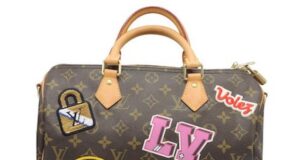 Classic Handbag: Louis Vuitton speedy bag