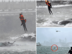 Niagara River driver intentionally drives into river