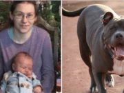 Heather Pingel Bowler Wisconsin mom pit bull attack