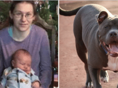 Heather Pingel Bowler Wisconsin mom pit bull attack