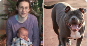 Heather Pingel Bowler Wisconsin mom pit bull attack