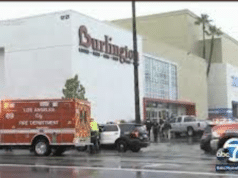 Valentina Orellana Peralta Los Angeles teen girl, 14, killed by stray police bullet