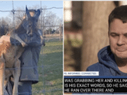 Tennessee man strangles, kills pet kangaroo