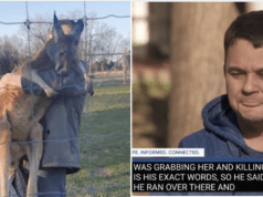 Tennessee man strangles, kills pet kangaroo