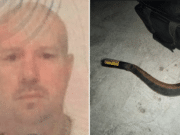 Marcus Evans British man stabbed to death with sickle in Thailand