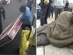 John Ray Lomack Seattle shoplifter steals TV released