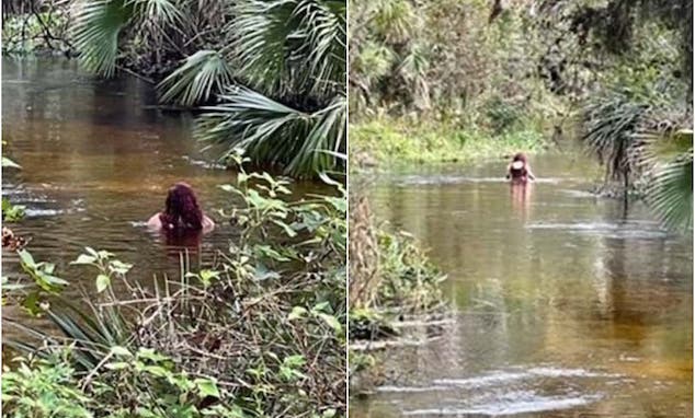 Missing Orlando woman wading in alligator infested river