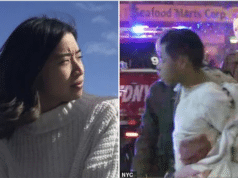 Christina Yuna Lee stabbed to death by Assamad Nash NYC homeless man