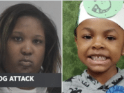 Daneka Black Dallas dog attack