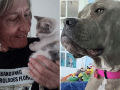 Pam Rob Oakland Park animal rescue worker mauled to death