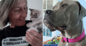 Pam Rob Oakland Park animal rescue worker mauled to death