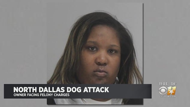 Daneka Black Dallas dog attack