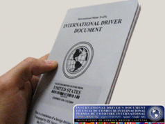 international driving permit