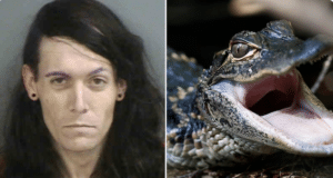 Michael Marolla Naples Florida man arrested, meth, baby alligator found