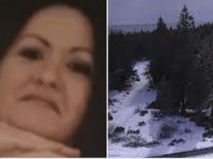 Sheena Gullett NorCal woman stranded in blizzard survives off yoghurt 6 days