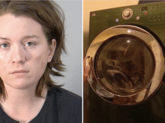 Amber Chapman Florida babysitter laundry dryer