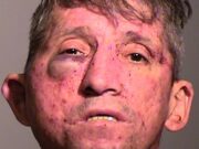 Alexis Provoste Aranguiz Oak Park burglar beaten to a pulp