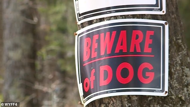 South Carolina woman mauled by 3 pit bull dogs