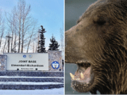 JBER soldier killed in bear attack