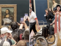 Man throws cake at Mona Lisa painting Louvre in Earth Day protest