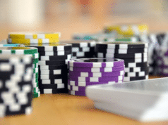 Online gambling in the Netherlands