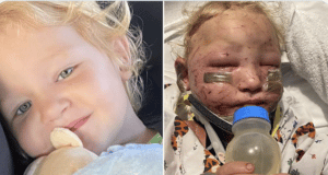 Felicity Peden 2 year old girl mutilated mauled by puppies.