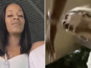 Shalanda Anderson shot dead by XTC Cabaret Dallas security guard