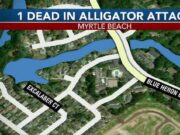 Michael Burstein Myrtle Beach 75 yr old man drowned alligator attack