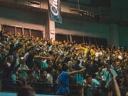 finding most favourable betting odds