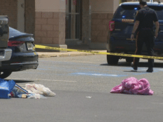 80 year old woman stabbed multiple times at Audubon grocery parking lot.
