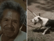 Freddy Garcia 71 year old Fresno Tx man killed by 7 dogs