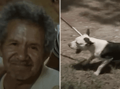Freddy Garcia 71 year old Fresno Tx man killed by 7 dogs