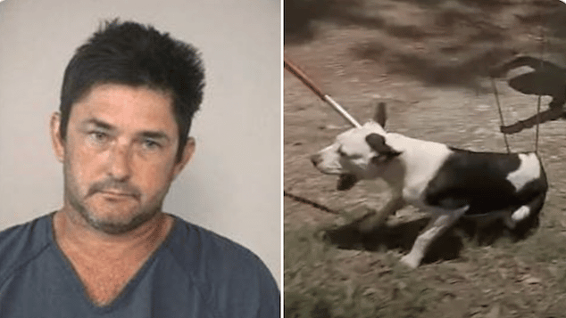 Freddy Garcia 71 year old Fresno Tx man mauled by 7 dogs