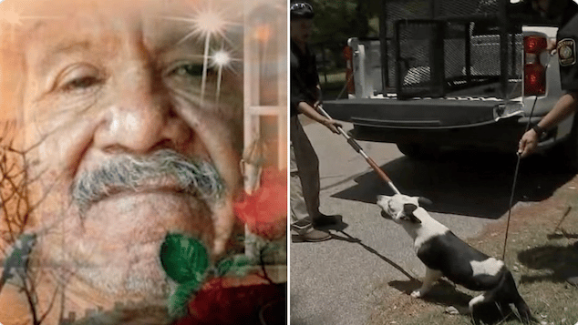 Freddy Garcia 71 year old Fresno Tx man killed by 7 dogs