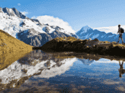 best courses to study in New Zealand