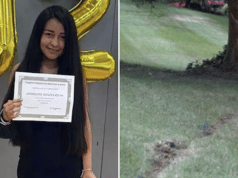 Josseline Molina-Rivas 12 yr old Maryland driver killed in crash