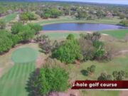 Elderly woman killed by 2 alligators falling into pond at Englewood Florida golf club