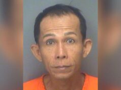 Thanh Ha Florida man sets boss's future home on fire