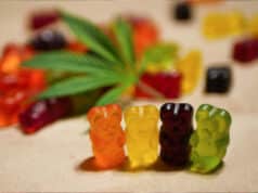 CBD Gummies or CBD Candies
